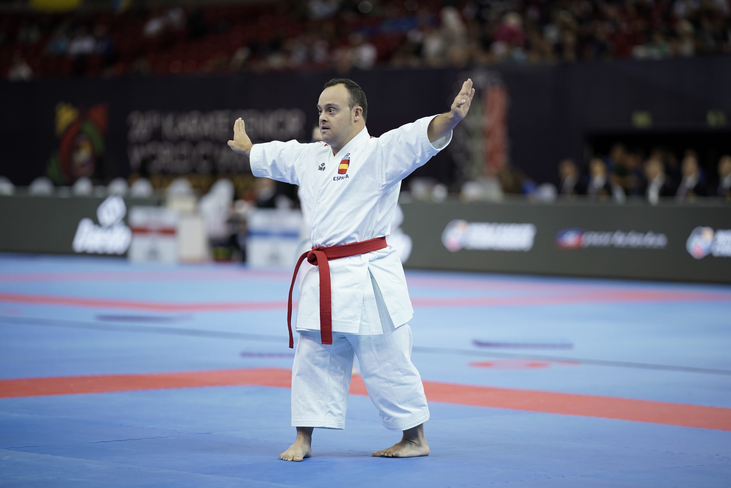 World Senior Individual Karate Championships