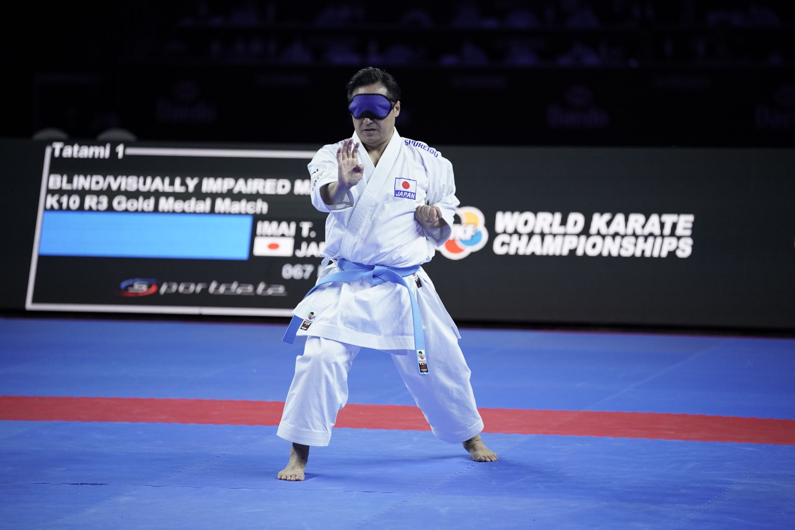 World Senior Individual Karate Championships
